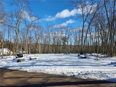 Lake Lot Off Market in Mamakating, New York