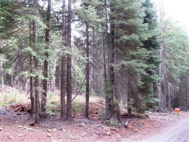 Upper Klamath Lake Lot For Sale in Klamath Falls Oregon