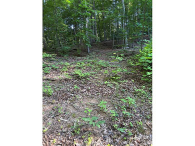 What a find! Unrestricted lot that has been partially cleared - photo 14