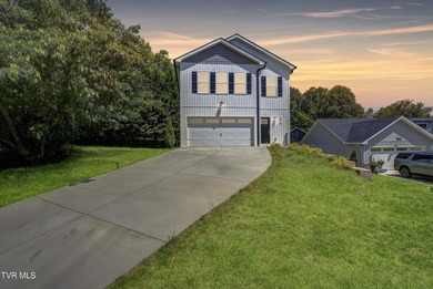 Patrick Henry Lake Home For Sale in Kingsport Tennessee