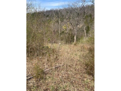 Lake Taneycomo Lot For Sale in Hollister Missouri