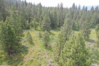 A must-see in person! This extraordinary 21.93-acre property - photo 3
