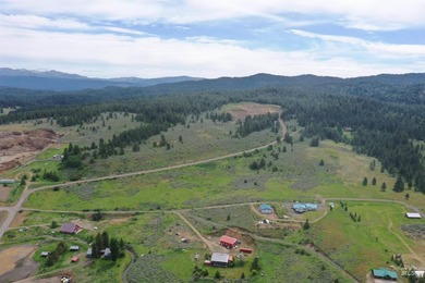 A must-see in person! This extraordinary 21.93-acre property - photo 4
