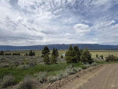 A must-see in person! This extraordinary 21.93-acre property - photo 9