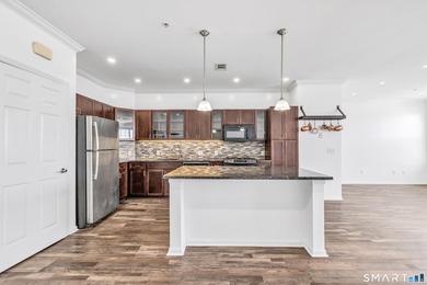 A rare 1,359 sq. ft. urban sanctuary! This luxury 3BR/2BA - photo 1