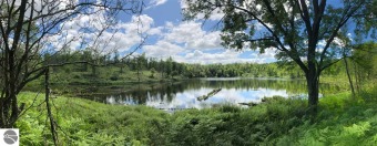 (private lake, pond, creek) Acreage For Sale in Evart Michigan