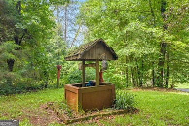 Very cute and cozy Cabin across the street from Lake Hartwell - photo 10