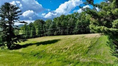 Amazing 6.051 land tract in the Coolest Town in America. This