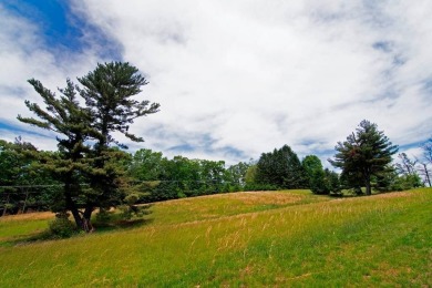 Amazing 6.051 land tract in the Coolest Town in America. This