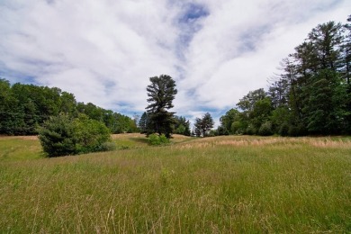 Amazing 6.051 land tract in the Coolest Town in America. This