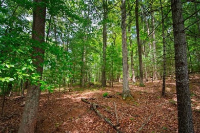 Amazing 6.051 land tract in the Coolest Town in America. This