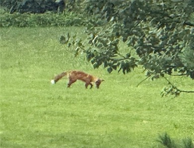 Looking for Seniors to enjoy this Exclusive 62+ community in a