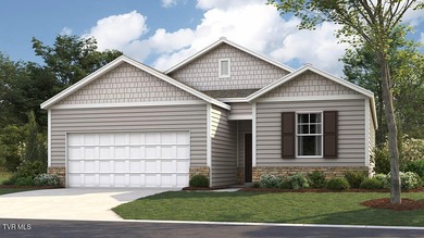 Boone Lake Home For Sale in Bluff City Tennessee