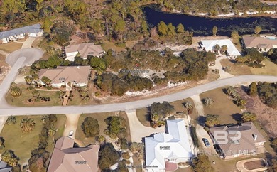 (private lake, pond, coastal) Lot For Sale in Orange Beach Alabama