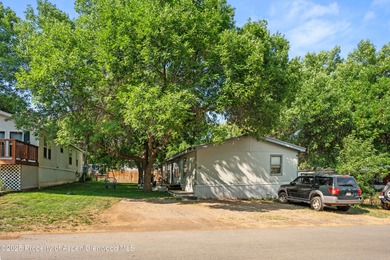 Colorado River Home For Sale in New Castle Colorado