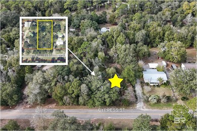 (private lake, pond, coastal) Lot For Sale in Orange Beach Alabama