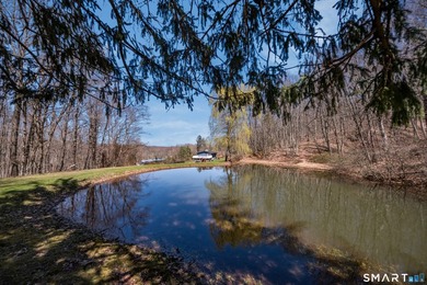 Set on over 20 breathtaking, wooded acres, this property offers - photo 32