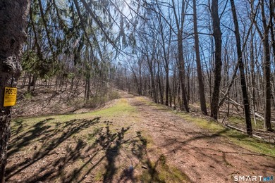 Set on over 20 breathtaking, wooded acres, this property offers - photo 38