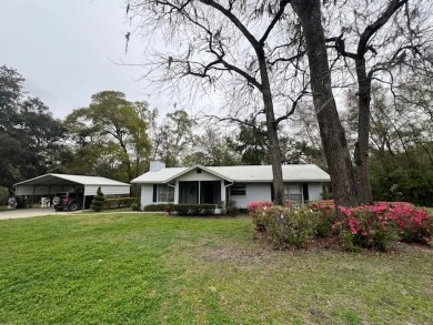 Suwannee River - Gilchrest County Home For Sale in Fanning Springs Florida