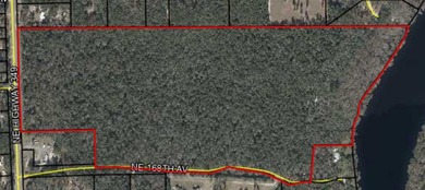 Suwannee River Acreage For Sale in Old Town Florida