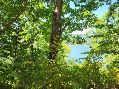 Beautiful corner lot in prestigious Peninsula's Edgee build your - photo 11