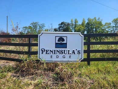 Beautiful corner lot in prestigious Peninsula's Edgee build your - photo 13