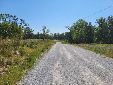 Beautiful corner lot in prestigious Peninsula's Edgee build your - photo 16