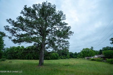 If you are looking for land to build your dream home, look no - photo 11