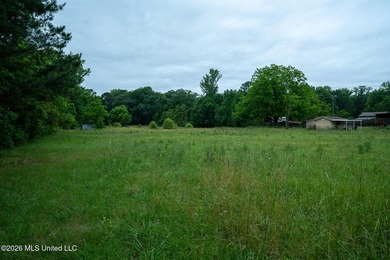 If you are looking for land to build your dream home, look no - photo 14