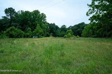 If you are looking for land to build your dream home, look no - photo 15