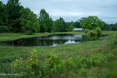 If you are looking for land to build your dream home, look no - photo 18