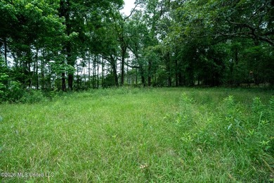 If you are looking for land to build your dream home, look no - photo 19