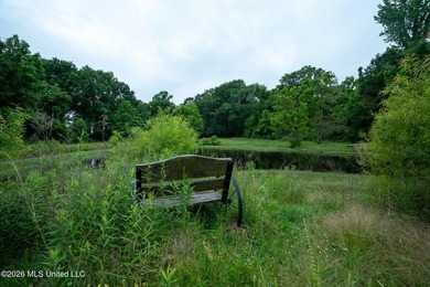 If you are looking for land to build your dream home, look no - photo 20