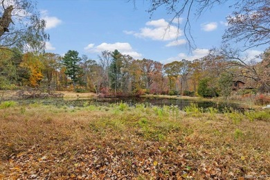 Gorgeous, Colonial style home with 4-bedrooms, 4.5 bathrooms - photo 29