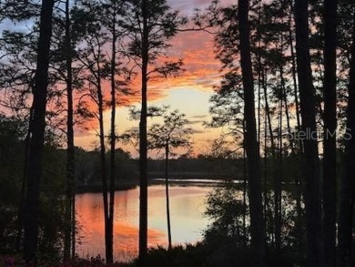 Lake Home For Sale in Ocklawaha, Florida