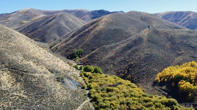 Sun Valley Legacy Estate & Development Masterpiece. Discover the - photo 26