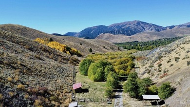 Sun Valley Legacy Estate & Development Masterpiece. Discover the - photo 31
