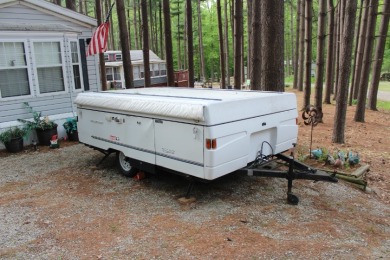 Adorable Valley of the Pines Getaway! - photo 29