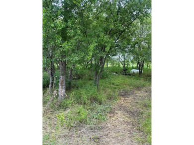 Lake Lot Sale Pending in Quinlan, Texas