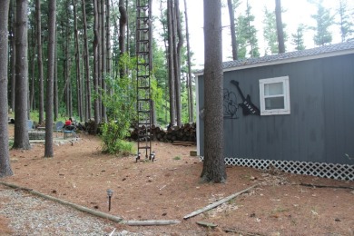 Adorable Valley of the Pines Getaway! - photo 19