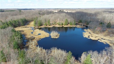 Lake Acreage Sale Pending in New Auburn, Wisconsin