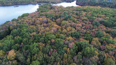Possible Subdivision Opportunity - 33 Acres! Explore the - photo 12