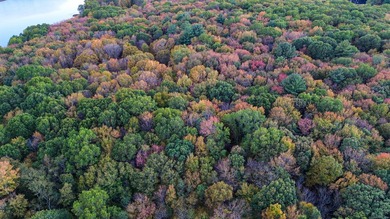Possible Subdivision Opportunity - 33 Acres! Explore the - photo 13