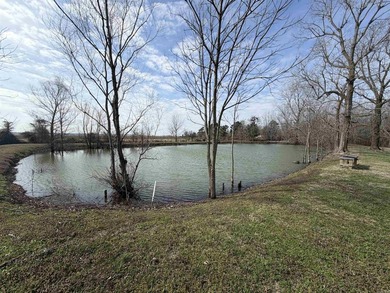 Welcome to peaceful country-style living! This 3-bedroom, 2-bath - photo 15