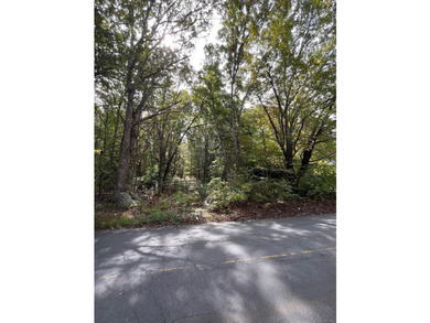 Possible Subdivision Opportunity - 33 Acres! Explore the - photo 21