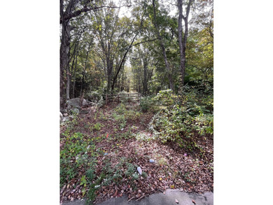 Possible Subdivision Opportunity - 33 Acres! Explore the - photo 22