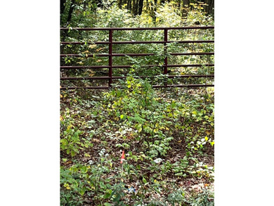 Possible Subdivision Opportunity - 33 Acres! Explore the - photo 24