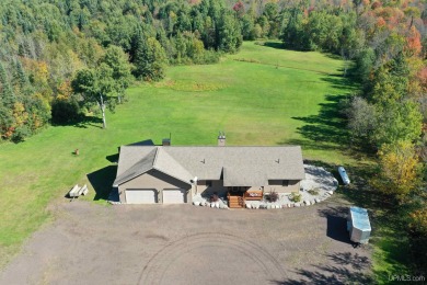 Lake Home For Sale in Bergland, Michigan