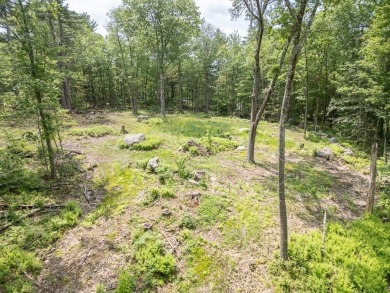 Lake Acreage For Sale in Phillipston, Massachusetts