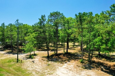 This opportunity includes an assemblage of (3) contiguous - photo 11